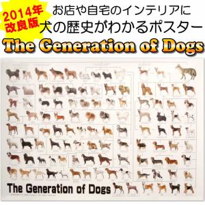 犬 系統図 ポスターの商品一覧 通販 Yahoo ショッピング
