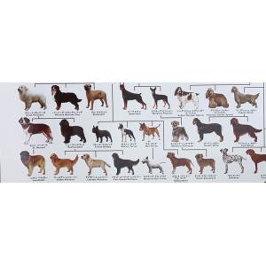 犬の系統図 ドッグジェネレーション ポスター ...の詳細画像2