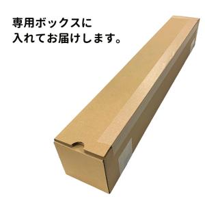 犬の系統図 ドッグジェネレーション ポスター ...の詳細画像5