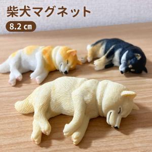 犬 （ 柴犬 ネムネム マグネット 8.2ｃｍ ） 置物 インテリア