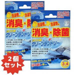 アイスリー工業 洗濯機掃除 ヨウ素(ヨード)デ・クリーンランドリー 2個セット 買い周り ポイント消化｜invitation