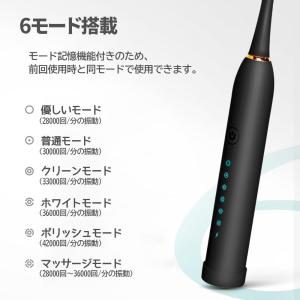 人気急上昇 電動歯ブラシ 替えブラシ4本付き ...の詳細画像4