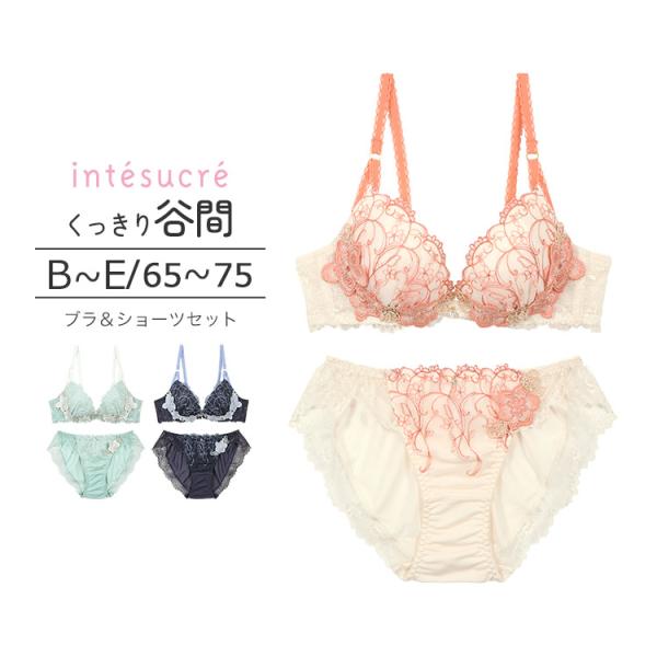 アンテシュクレ intesucre ブラセット くっきり谷間メイク BCDEカップ アンダー65/7...