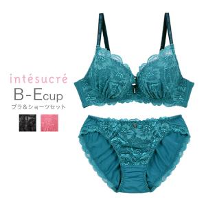 アンテシュクレ intesucre 毎日フィットブラ ぴったり丸胸タイプ ブラセット ナチュラルバストメイク 全3色 B-E/65-75 IBT337｜アンテシュクレ インナーワールド