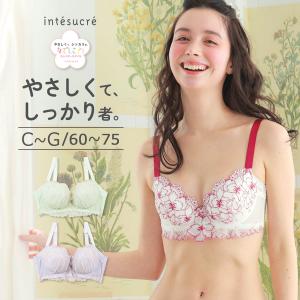 アンテシュクレ intesucre なでしこブラ 脇高スレンダースタイル ブラジャー単品 サイドすっきりメイク CDEFGカップ アンダー65/70/75cm IBT371｜アンテシュクレ インナーワールド