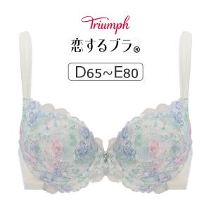 サルート（SALUTE） ワコール 22グループ 22G ブラジャー単品 P-up
