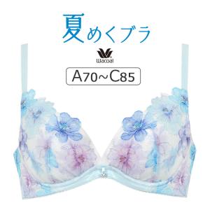 WACOAL（ワコール） 夏めくブラ BRB465シリーズ Tバックショーツ M