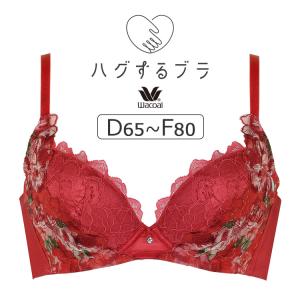 ワコール ハグするブラ BRB488シリーズ ブラジャー単品 DEFカップ アンダー65/70/75/80/85cm BRB488｜inw