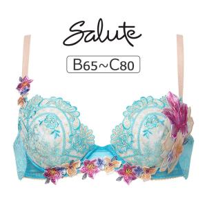 ワコール サルート 90G ブラジャー E75 PU 限定 新品 タグ付き サルート（SALUTE） ワコール 16グループ 16G ブラジャー単品 P-up