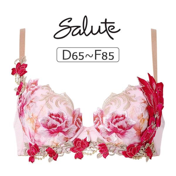 ワコール サルート 26グループ 26G ブラジャー単品 P-upタイプ DEFカップ アンダー 6...