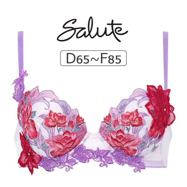 ワコール サルート 33グループ 33G ブラジャー単品 P-upタイプ DEFカップ アンダー 6...