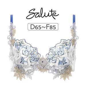 ワコール サルート 42グループ 42G ブラジャー単品 P-upタイプ DEFカップ アンダー 65/70/75/80cm BTJ442