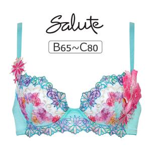 サルート（SALUTE） ワコール 16グループ 16G ブラジャー単品 P-up