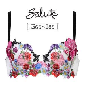 サルート（SALUTE） ワコール 13グループ 13G ブラジャー単品 P-up
