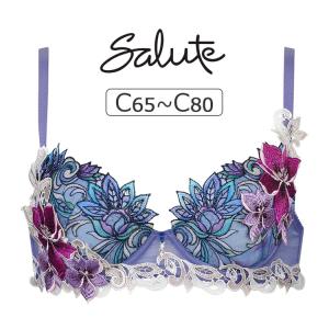 サルート（SALUTE） ワコール 13グループ 13G ブラジャー単品 P-up