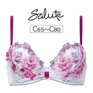 サルート（SALUTE） ワコール 21グループ 21G ブラジャー単品 P-up