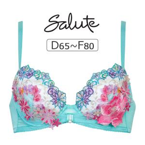 サルート（SALUTE） ワコール 16グループ 16G ブラジャー単品 P-up