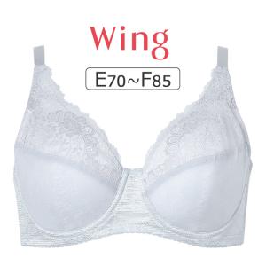 ワコール ウイング 夏のうすかるブラ KB2873シリーズ フルカップブラ ブラジャー単品 EFカップ アンダー70/75/80/85cm KB2173