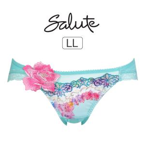 サルート（SALUTE） ワコール 16グループ 16G ブラジャー単品 P-up