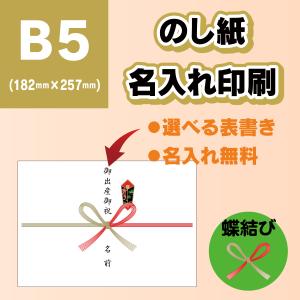 のし紙 熨斗紙 B5サイズ 20枚〜200枚 蝶結び 名入れ 印刷 選べる表書き