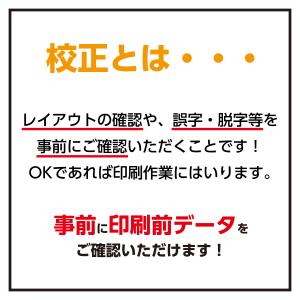 のし紙 A4 名入れ 印刷 内祝 出産 記念品...の詳細画像1