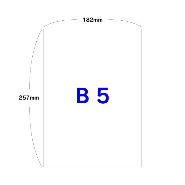 B5 コピー用紙 250枚〜5000枚