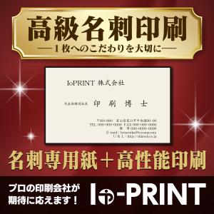 名刺 名刺作成 高品質 100枚 白黒印刷 選べる名刺専用紙 校正なし データ入稿印刷も可能 送料無料