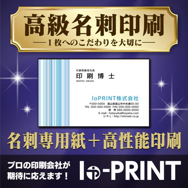 名刺 名刺作成 高品質 100枚 カラー 選べる名刺専用紙 校正なし データ入稿印刷も可能 送料無料