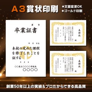 賞状 賞状用紙 10枚〜 A3 表彰状 名入れ 賞状印刷 プリント トロフィー 認定証 定年退職 還暦 長寿 周年記念 卒業証書 功労｜io-print