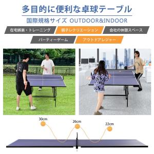 卓球台 BTM 国際規格サイズ セパレート式 ...の詳細画像3