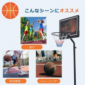 バスケットゴール 公式&ミニバス対応 2TYP...の詳細画像5