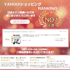 子供用三輪車 5in1 セーフティーガード&a...の詳細画像1