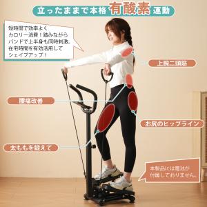 健康ステッパー 高齢者 ハンドル付き ステッパ...の詳細画像2