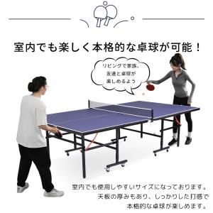卓球台 国際規格サイズ セパレート式 専用ネッ...の詳細画像3
