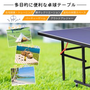 卓球台 国際規格サイズ セパレート式 専用ネッ...の詳細画像4