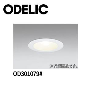 Panasonic LEDダウンライト XND2531WWLE9(NDN27306W+NNK25010N Panasonic LEDダウンライト XND2531WWLE9(NDN27306W+NNK25010N