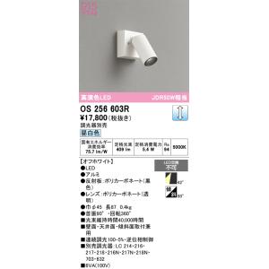 【アウトレット！】OS256603R オーデリック LEDスポットライト フレンジタイプ 昼白色 調...