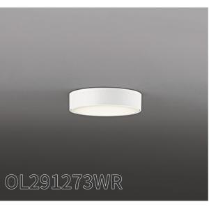 ODELIC オーデリック 小型シーリングライト 非調光100W相当 昼