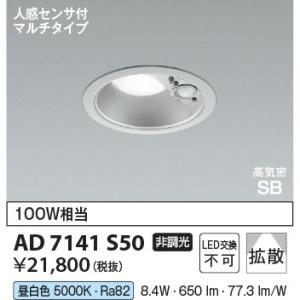 Panasonic（パナソニック） 自動点灯センサー付 (防雨型)軒下用ダウン