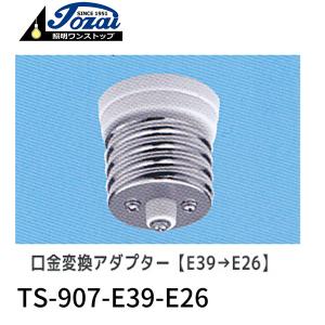 岩崎電気 LDT100-242V28N-G/H100 (LDT100242V28NGH100) LEDランプ LED