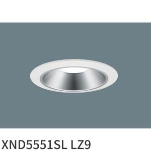 岩崎電気 岩崎 LDFS62L-G-E39D LEDライトバルブS 水銀灯250W相当 電球