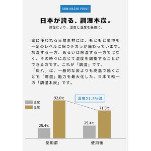 炭八 調湿木炭 室内用 大袋 45×45cm ...の詳細画像4