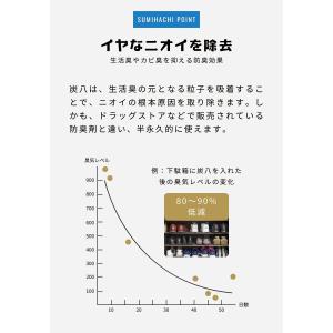 炭八 調湿木炭 室内用 大袋 45×45cm ...の詳細画像5