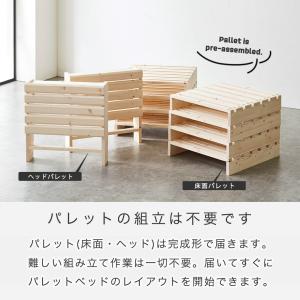 6/22 8:59まで最大10%OFF! パレ...の詳細画像4