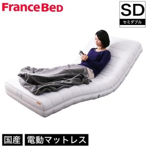 フランスベッド（FRANCEBED） 開梱設置付 RP-2000BAE 電動