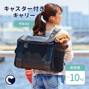 【廃番】(OFT) 犬 イヌ いぬ おしゃれ 猫 ねこ キャリー リュック キャスター  [ブロッサムリュックキャリー キルティングブラック M]
