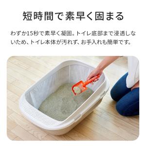 (OFT) [猫砂 セリーム バイオサンド グ...の詳細画像4