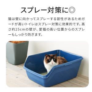 (OFT) [猫トイレ HY cat ラージ]...の詳細画像3