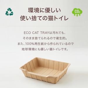 (OFT) [紙の猫トイレ ECO CAT T...の詳細画像3