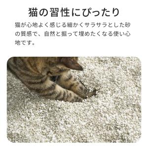 (OFT) (4袋セット) PIDAN キャッ...の詳細画像1